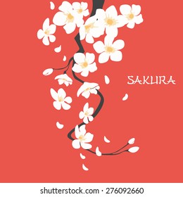 Cherry blossom, japanese sakura branch with flowers. flat design