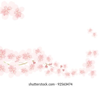 cherry blossom line