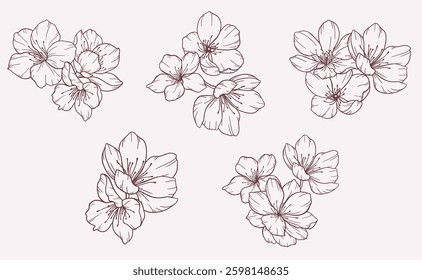 Cherry Blossom Line Art. Trendy floral branches and flowers. Botanical Line Art Sakura Collection. Hand drawn line art cherry blossom flowers. Luxury Line Floral Art. Cherry Blossom Outline