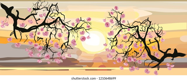 Cherry Blossom. Nature