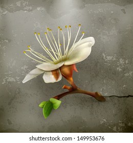 Flor de cerezo, vector de estilo antiguo