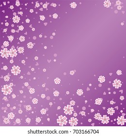 Cherry blossom on lilac background. Beautiful sakura explosion. Random scatter falling flowers, dots, hearts and petals.