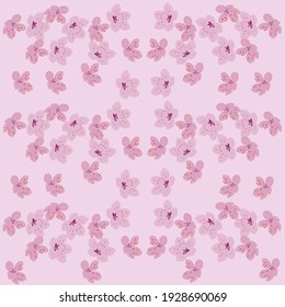 cherry blossom on pink background