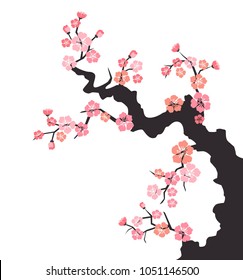 Cherry blossom on white background. Vector Illustration.