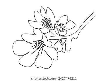 Cherry blossom one line drawing vector illustration.