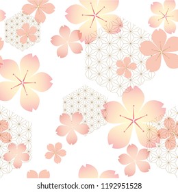 Cherry blossom pattern vector with Japanese pattern background.