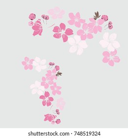 Cherry blossom pattern.Sakura flower on gray background.