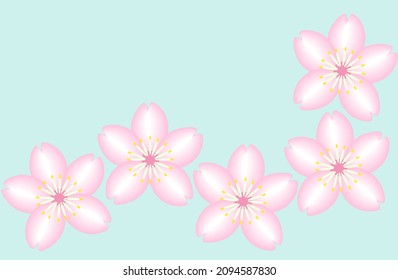 Cherry blossom petals on light blue background.