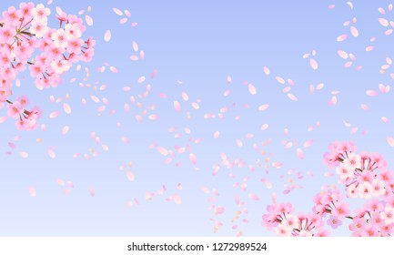 



Cherry blossom petals scattering in the wind
