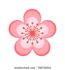 cherry blossom. Pink flower with five petals.