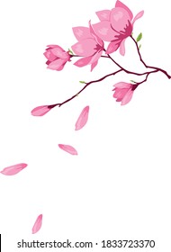 Kirschblüte, rosafarbene Blume, Vektorgrafik