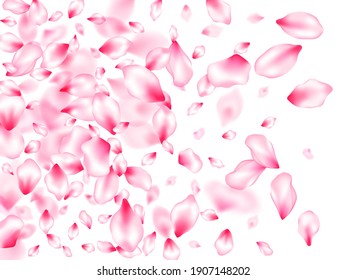 Cherry blossom pink flying petals windy blowing Valentine's Day background. Springtime symbols. Natural marrige decor of chinese cherry petals. Isolated flower parts wedding decoration vector.