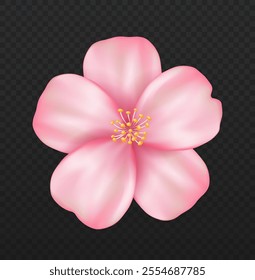 Cherry blossom plant. Pink sakura flower. Traditional japanese bloom plant. Spring or summer season. Template and layout. Realistic vector illustration isolated on transparent background