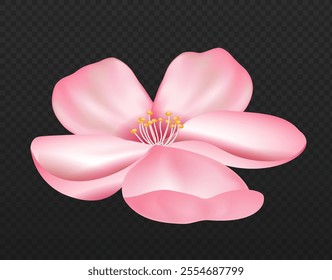 Cherry blossom plant. Pink sakura flower. Traditional japanese bloom plant. Beauty, aesthetics and elegance. Realistic vector illustration isolated on transparent background