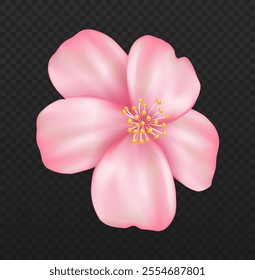 Cherry blossom plant. Pink sakura flower. Traditional japanese bloom plant. Spring or summer season park. Bud and petal. Realistic vector illustration isolated on transparent background