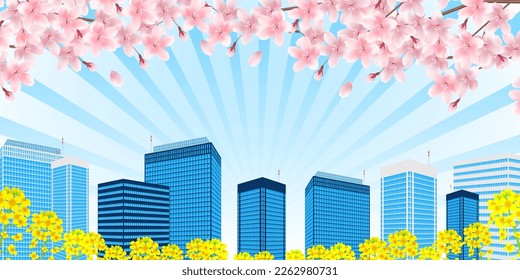 Cherry blossom rape blossom building background