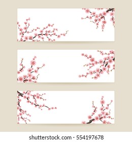 Cherry blossom realistic, sakura, japan, blur background. EPS 10 vector file included