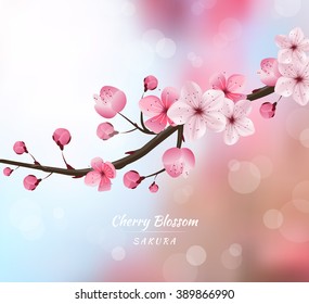 cherry blossom realistic vector, blur background