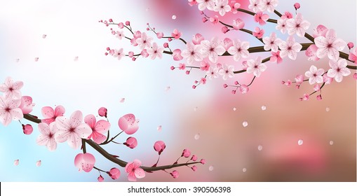 cherry blossom realistic vector, blur background