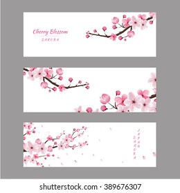 Cherry Blossom Realistic Vector, Sakura, Japan, Blur Background