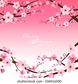 cherry blossom realistic vector, sakura, japan, blur background