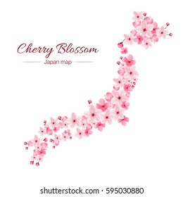 cherry blossom realistic vector, sakura,japan map