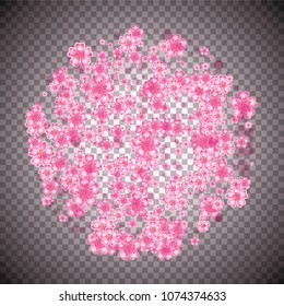 Cherry blossom round background on transparent backdrop