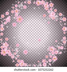 Cherry blossom rounded frame or border on transparent background