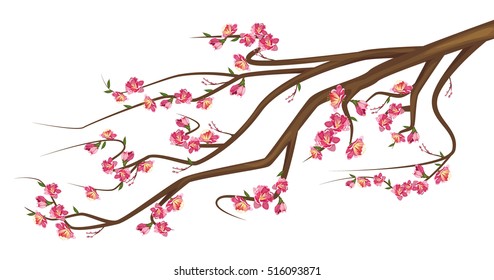 Cherry Blossom.  Sakura branch isolated on white background. Vector illustration of sakura tree with flowers.