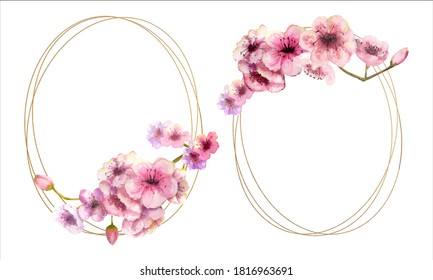 Cherry blossom, Sakura branch with pink flowers on gold frame and isolated on white background. Image of spring. 2 frames with watercolor flowers. Vector illustration