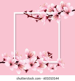 Cherry blossom, sakura branch with pink flowers on white frame and sweet pink background. Image of springtime. Vector illustration.