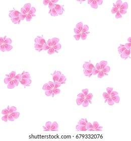 cherry blossom or sakura floral pattern on white background