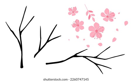 Cherry blossom Sakura flower, flying petal, leaves and tree branches isolated on white background vector illustration.