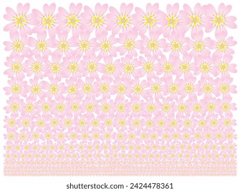 Cherry blossom (SAKURA) flower head illustration pattern that gradually becomes smaller.