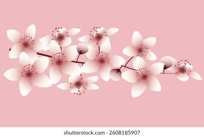 The cherry blossom, or sakura, is the flower of trees in Prunus subgenus Cerasus. Cherry blossoms have been described as having a vanilla like smell, which is mainly attributed to coumarin.
