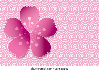 Cherry blossom. Sakura flower vector illustration.