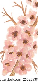 Cherry blossom sakura flower watercolor illustration clipart design print and background