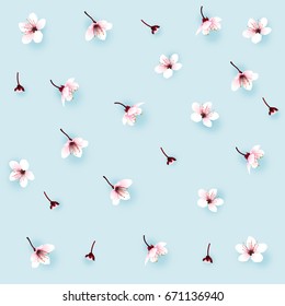 Cherry blossom, sakura flowers falling on sweet blue background. Vector illustration.