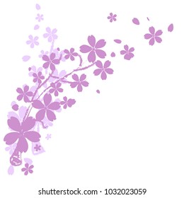 Cherry blossom or sakura  flowers of japan ,tree branch  on white background  with copy space , vector,illustration , image. 