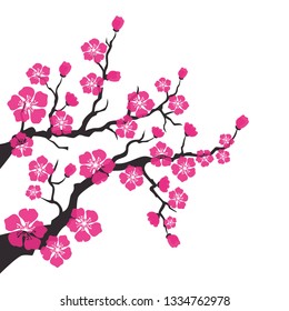Cherry blossom, sakura flowers on white background. Vector Illustration.