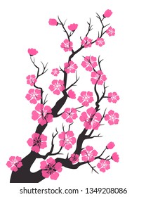 Cherry blossom, sakura flowers. Vector Illustration.