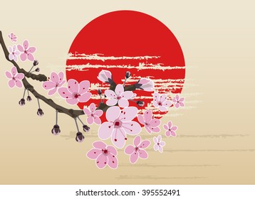 Cherry blossom, sakura flowers, vector.