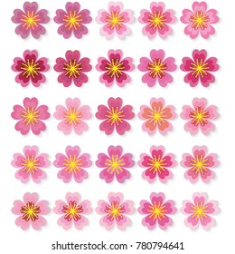 Cherry blossom. Sakura. Icon set. Vector illustration