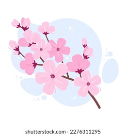 Cherry blossom. Sakura Japanese flower. Vector illustration isolated on white background
