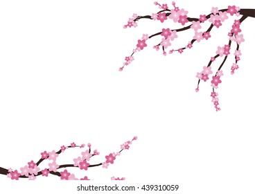 Cherry blossom. Sakura  pink flowers  background.