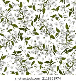 cherry blossom, sakura seamless pattern. Delicate spring background with cherry flowers