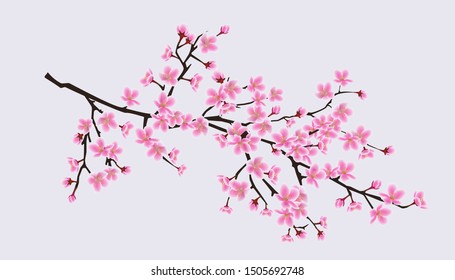 桜 紋章 の画像 写真素材 ベクター画像 Shutterstock
