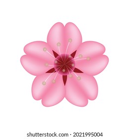 Cherry Blossom Sakura vector emoji illustration. Simple and cute cherry blossom petal illustration isolated on white background. 3d illustration. 