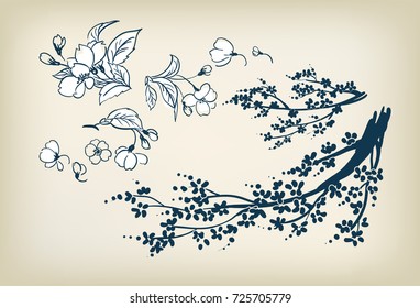 cherry blossom sakura vector sketch illustration design elements