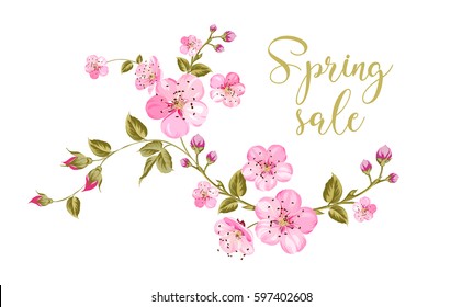 Cherry Blossom Sale Card. Spring Sale And Botanical Garden Text Over White Background With Sakura Flower Frame. Vector Illustration.